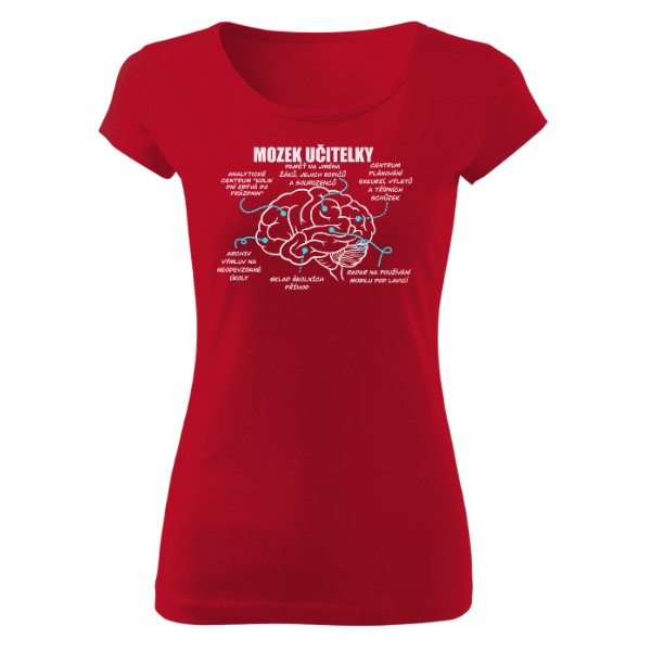 Mozek učitelky - bílý text